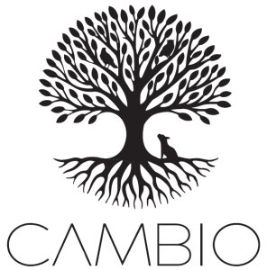 Cambio Cocina
